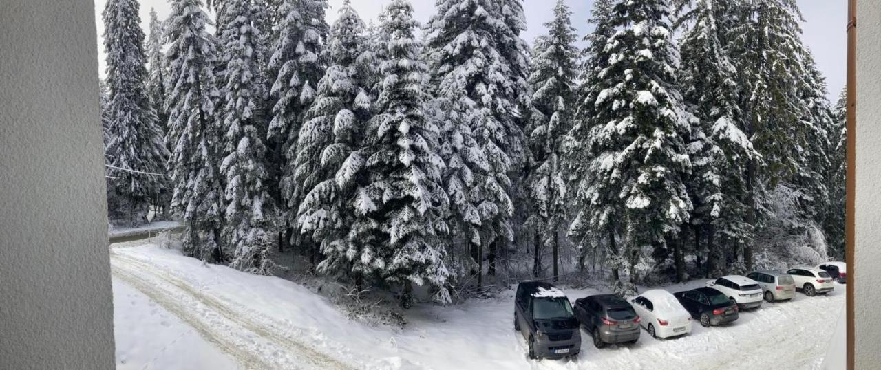 Borovets Gardens Apartment A20 ภายนอก รูปภาพ